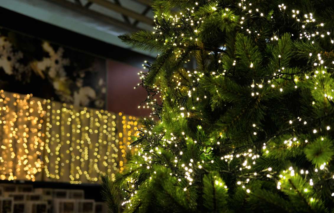 solidariteit Outlook Classificeren Hoeveel lampjes in de kerstboom - Tuincentrum Kolbach