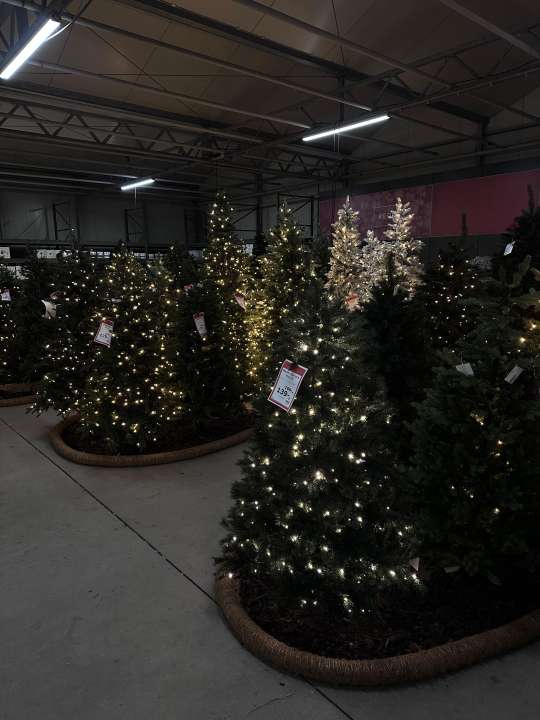 Het grote kunstkerstbomenbos van Kolbach