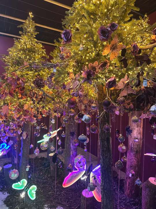 Kerstdecoratie in verschillende kleuren en stijlen