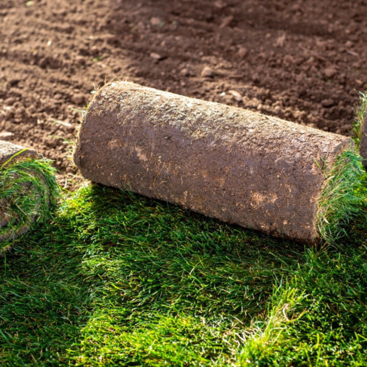 Graszoden bestellen bij tuincentrum Kolbach in Rijswijk (Noord-Brabant) Graszoden bestellen bij tuincentrum Kolbach in Rijswijk (Noord-Brabant)