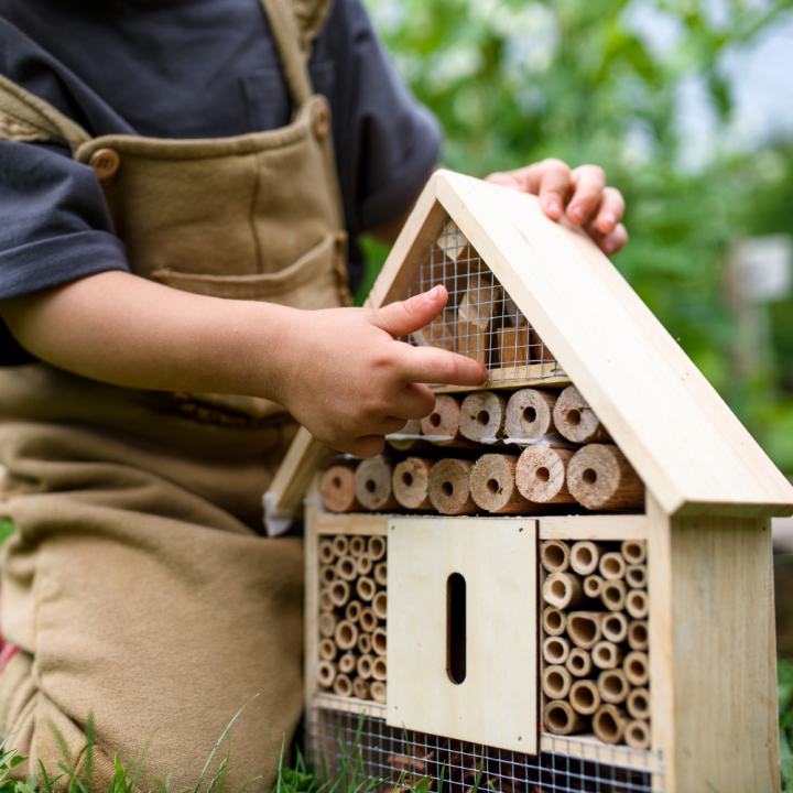 Insectenhotel kopen bij tuincentrum Kolbach in Rijswijk/Woudrichem! Insectenhotel kopen bij tuincentrum Kolbach in Rijswijk/Woudrichem!