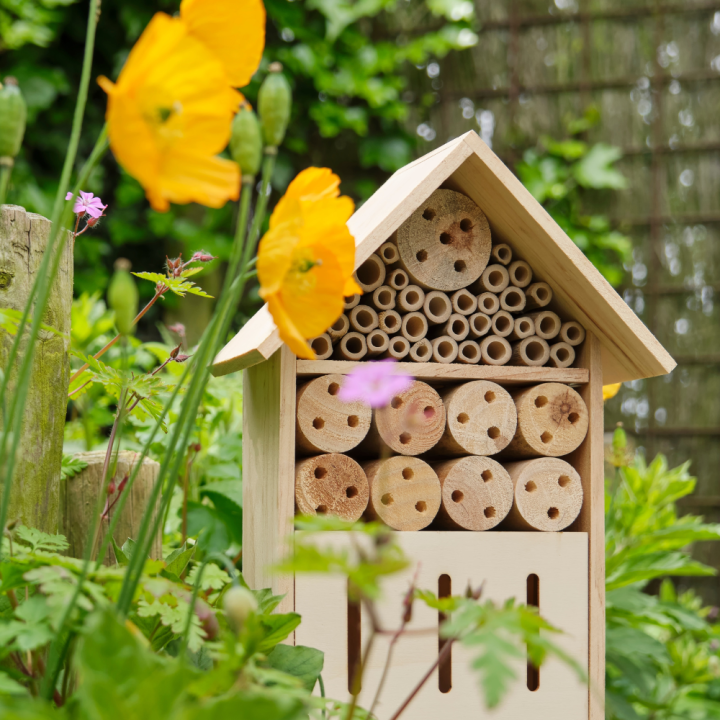 Insectenhotel kopen bij tuincentrum Kolbach in Rijswijk/Woudrichem! Insectenhotel kopen bij tuincentrum Kolbach in Rijswijk/Woudrichem!