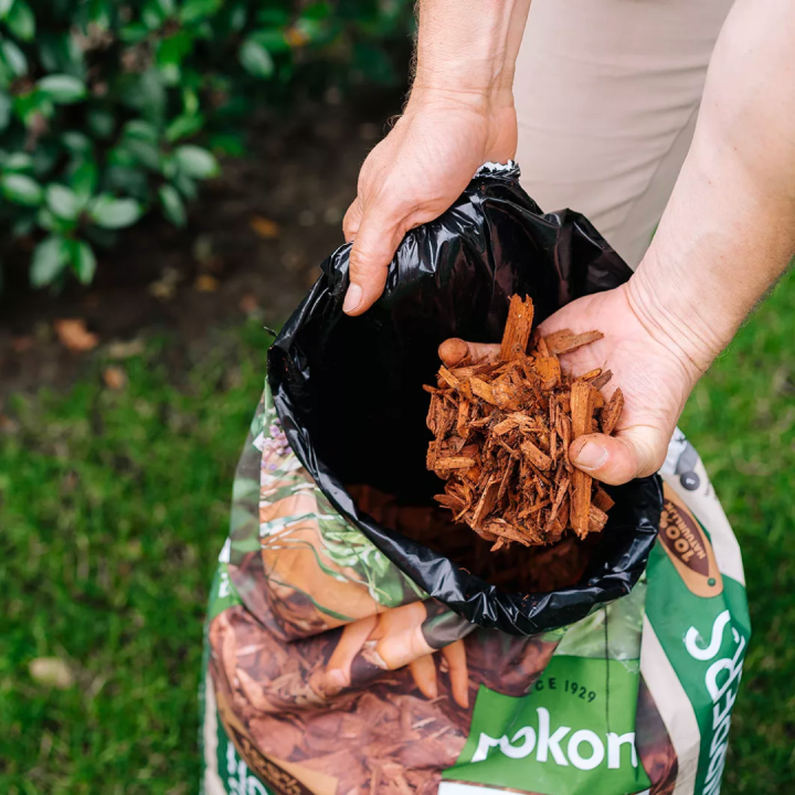Bodembedekkers kopen bij tuincentrum Kolbach in Rijswijk/Woudrichem Bodembedekkers kopen bij tuincentrum Kolbach in Rijswijk/Woudrichem