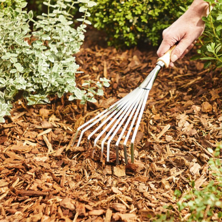 Bodembedekkers kopen bij tuincentrum Kolbach in Rijswijk/Woudrichem Bodembedekkers kopen bij tuincentrum Kolbach in Rijswijk/Woudrichem
