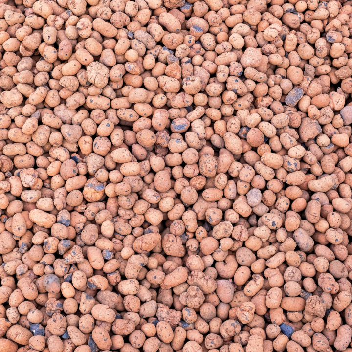 Hydrokorrels kopen bij tuincentrum Kolbach in Rijswijk/Woudrichem