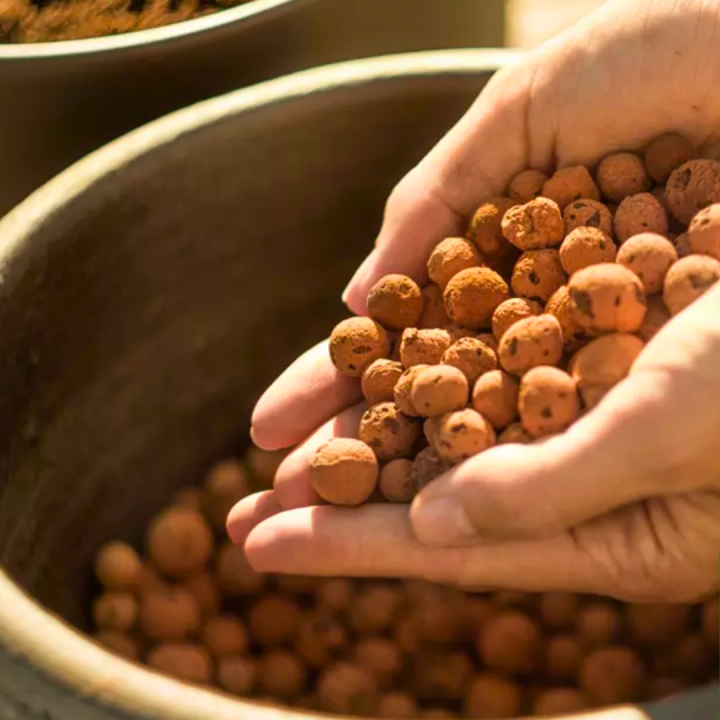 Hydrokorrels kopen bij tuincentrum Kolbach in Rijswijk/Woudrichem
