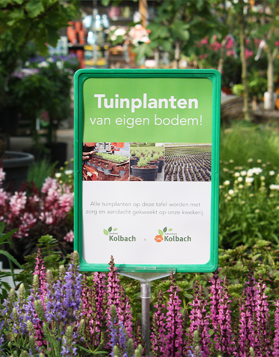 De mooiste tuinplanten komen van kwekerij Kolbach!