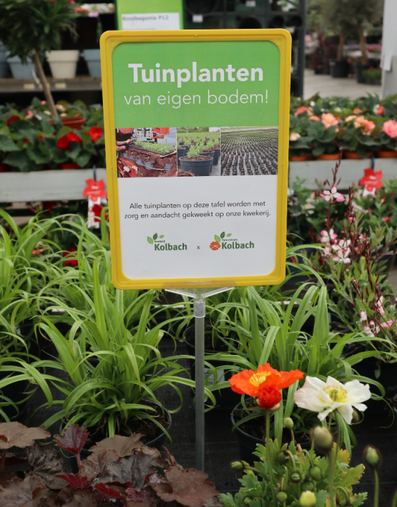 De mooiste tuinplanten komen van kwekerij Kolbach!