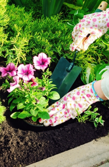 Tuinhandschoenen bestellen bij tuincentrum Kolbach in Rijswijk (Noord-Brabant) Tuinhandschoenen bestellen bij tuincentrum Kolbach in Rijswijk (Noord-Brabant)