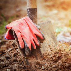 Tuinhandschoenen kopen bij tuincentrum Kolbach in Rijswijk (Noord-Brabant) Tuinhandschoenen kopen bij tuincentrum Kolbach in Rijswijk (Noord-Brabant)