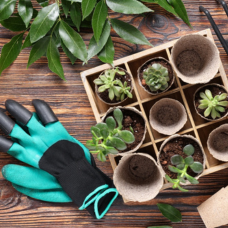Tuinhandschoenen kopen bij tuincentrum Kolbach in Rijswijk (Noord-Brabant) Tuinhandschoenen kopen bij tuincentrum Kolbach in Rijswijk (Noord-Brabant)