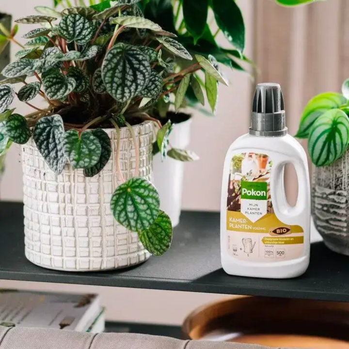 Pokon kamerplantenverzorging koop je bij Kolbach! Pokon kamerplantenverzorging koop je bij Kolbach!