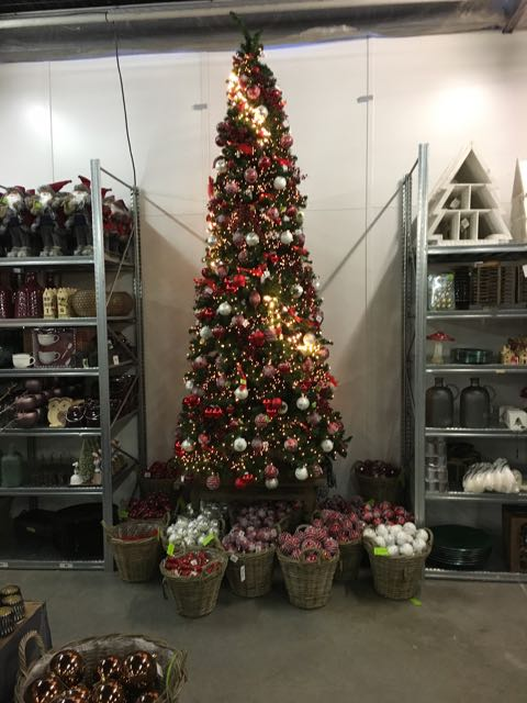 Kerstboom kopen in Zuid-Holland? Kerstboom kopen in Zuid-Holland?