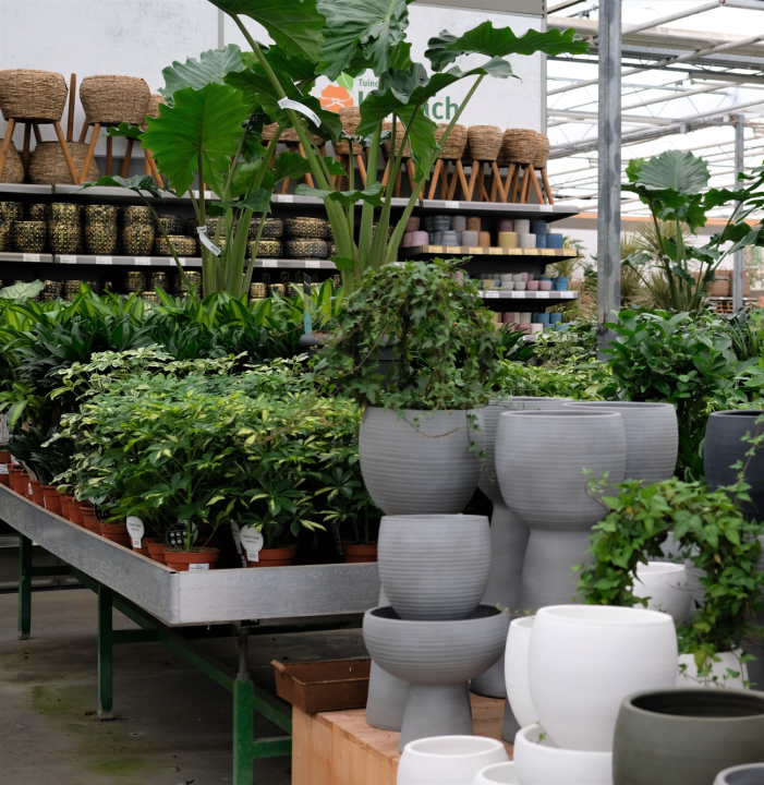 Binnenpot kopen | Tuincentrum Kolbach in Rijswijk