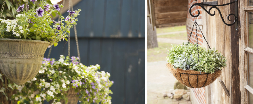 Hanging baskets kopen | Tuincentrum Kolbach