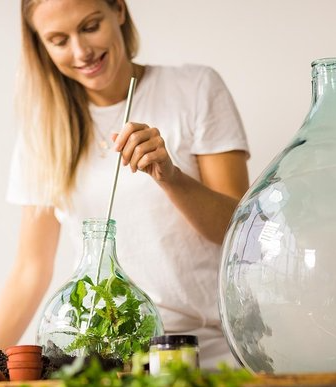 Plant terrarium kopen | Tuincentrum Kolbach Rijswijk (Noord-Brabant)
