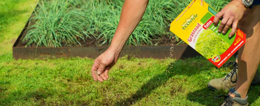 Graszaad kopen van ECOstyle | Tuincentrum Kolbach