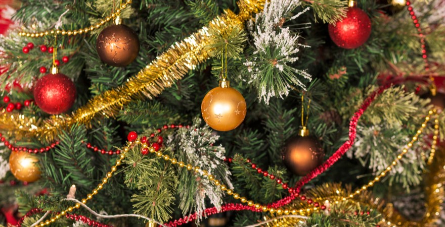 Kerstslingers kopen | Tuincentrum Kolbach Kerstslingers kopen | Tuincentrum Kolbach