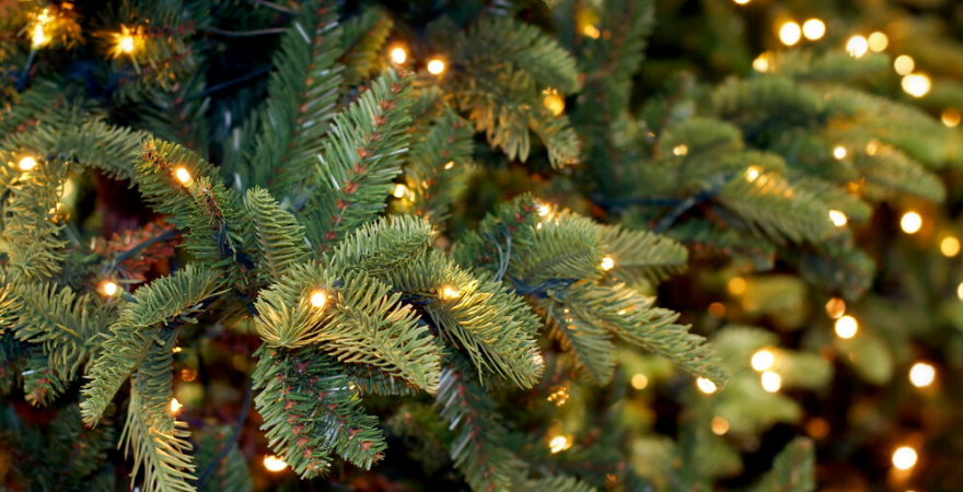 Kolbach-Rijswijk-kerstboom-verlichting