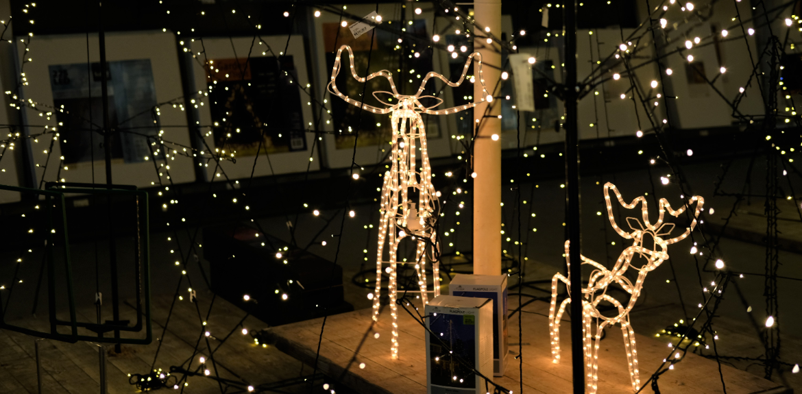 LED kerstfiguren kopen | Tuincentrum Kolbach Rijswijk (Noord-Brabant)