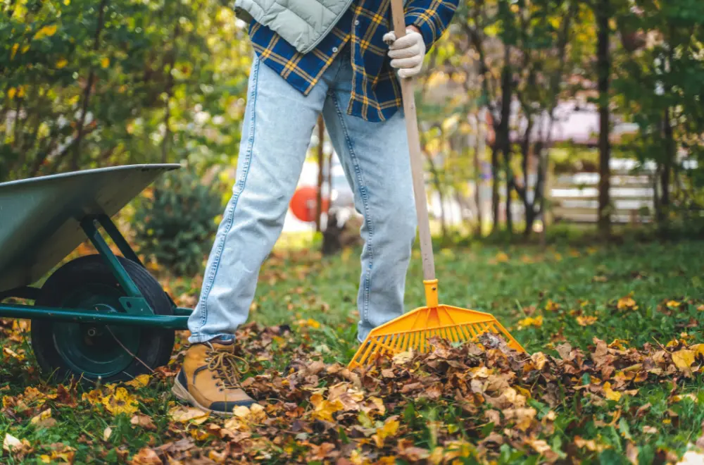 Herfstklussen in de tuin