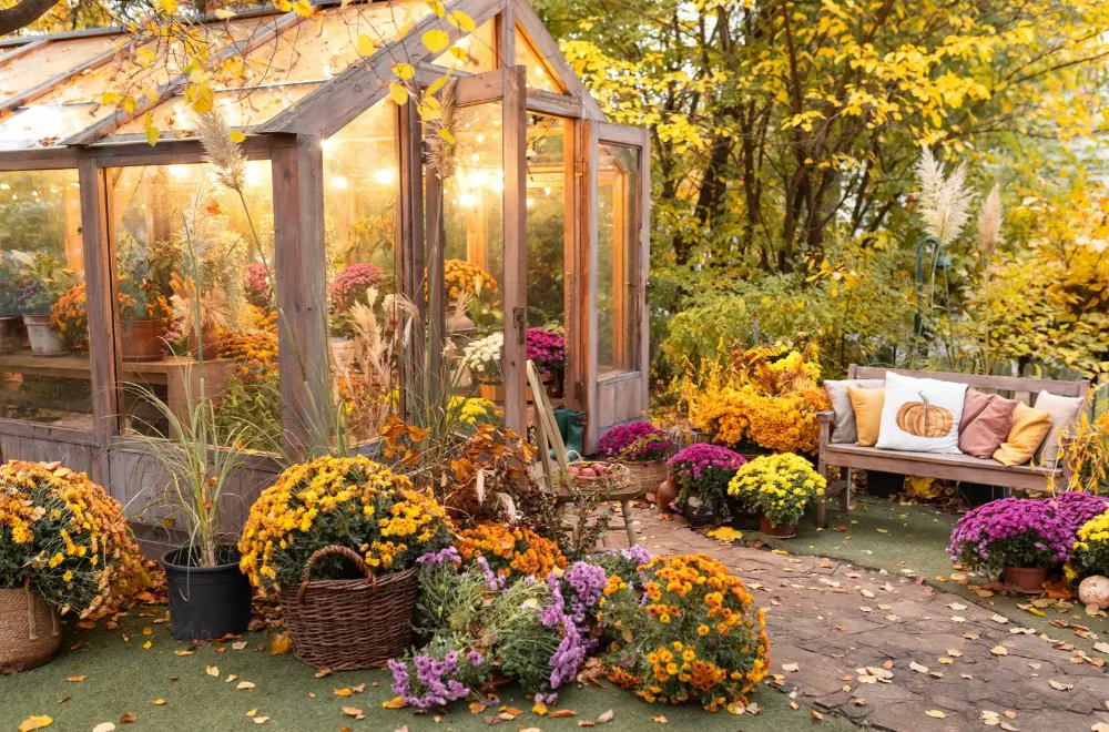 Kleurrijke herfst