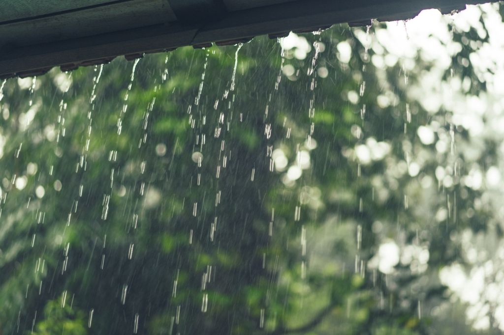 Regenwater gebruiken: De regenton is terug! Regenwater gebruiken: De regenton is terug!