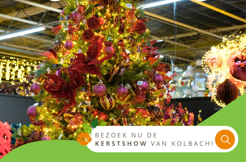 Wij wensen je fijne feestdagen: bezoek de kerstsale!
