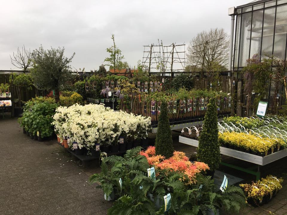 Planten voor binnen en buiten kopen nabij Waalwijk