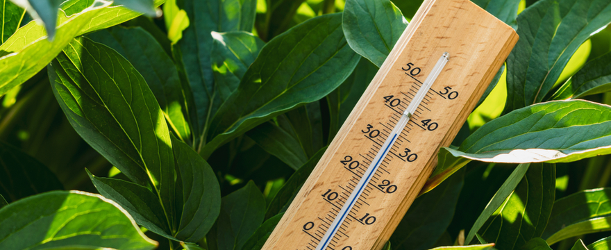 Thermometer kopen | Tuincentrum Kolbach, Rijswijk Noord-Brabant