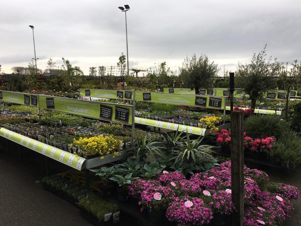 Breed assortiment planten bij Tuincentrum Kolbach in de buurt van Waalwijk Breed assortiment planten bij Tuincentrum Kolbach in de buurt van Waalwijk