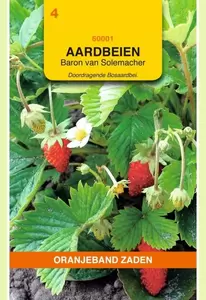 Aardbeien Baron von Solemacher Oranjeband - afbeelding 1