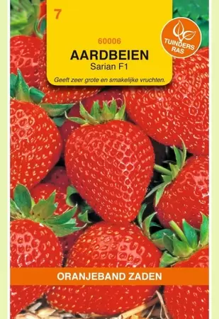 Aardbeien Grandian (vh Sarian) F1 Oranjeband - afbeelding 1