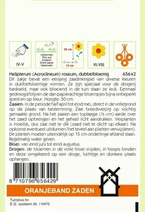 Acroclinium, Zonnestrobloem dubbelbloemig gemengd Oranjeband - afbeelding 2