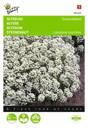 Althaea, Stokroos Summer Carnival Buzzy Seeds - afbeelding 1