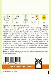 Ageratum, Leverbalsem Blue Mink Oranjeband - afbeelding 2
