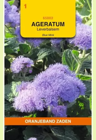 Ageratum, Leverbalsem Blue Mink Oranjeband - afbeelding 1