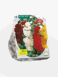 Alcea, Mix per 10