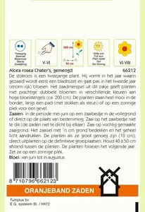 Althaea (Alcaea), Stokroos Chater's gemengd Oranjeband - afbeelding 2
