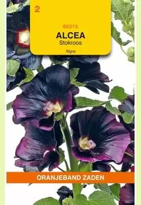 Althaea (Alcaea), Stokroos Nigra Oranjeband - afbeelding 1