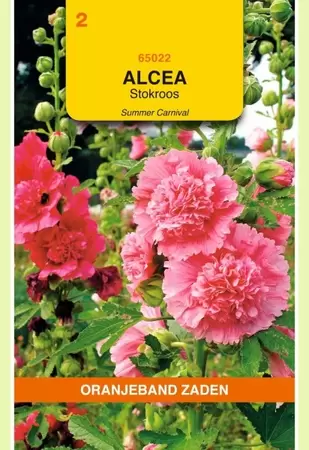 Althaea (Alcea), Stokroos Summer Carnaval Oranjeband - afbeelding 1