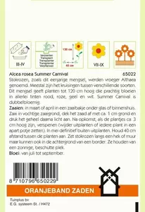 Althaea (Alcea), Stokroos Summer Carnaval Oranjeband - afbeelding 2