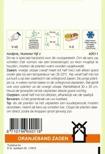 Andijvie Nummer Vijf 2 Oranjeband - afbeelding 2