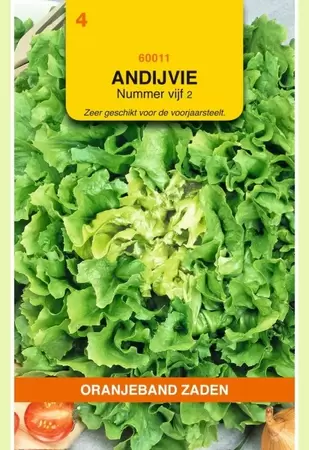 Andijvie Nummer Vijf 2 Oranjeband - afbeelding 1