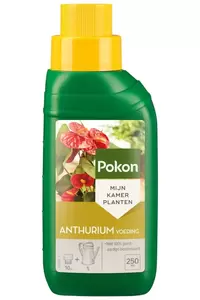 Anthurium Voeding 250ml Pokon