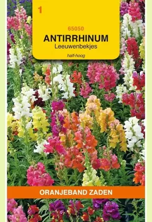 Antirrhinum, Leeuwenbekje, half-hoog gemengd Oranjeband - afbeelding 1
