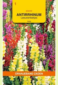 Antirrhinum, Leeuwenbekje, hoog gemengd Oranjeband - afbeelding 1
