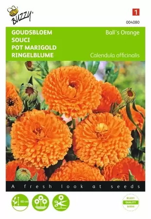 Calendula, Goudsbloem Touch of Red Buzzy Seeds - afbeelding 1