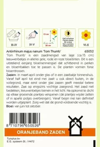 Antirrhinum, Leeuwenbekje Tom Thumb Oranjeband - afbeelding 2