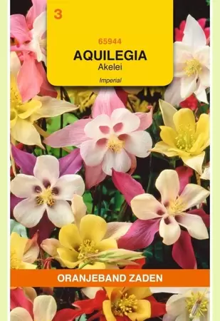 Aquilegia, Akelei Imperial gemengd Oranjeband - afbeelding 1